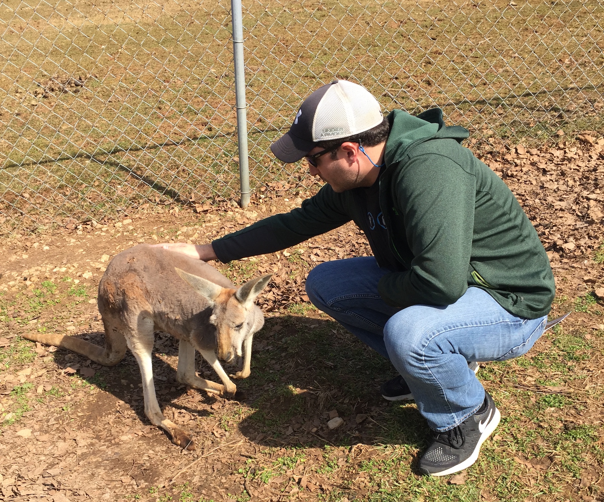 Kentucky Down Under - pet a kangaroo